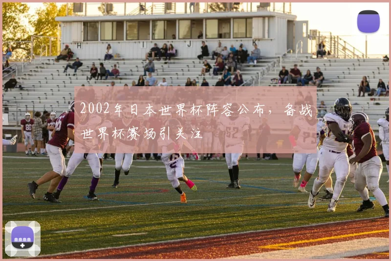 2002年日本世界杯阵容公布，备战世界杯赛场引关注