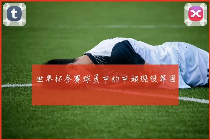 世界杯参赛球员中的中超现役军团