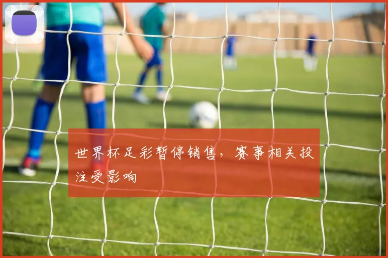 世界杯足彩暂停销售，赛事相关投注受影响
