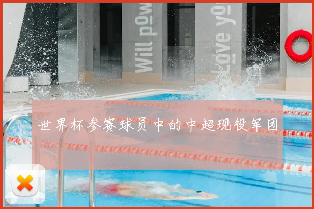 世界杯参赛球员中的中超现役军团