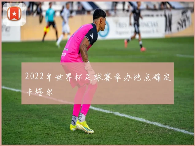 2022年世界杯足球赛举办地点确定卡塔尔