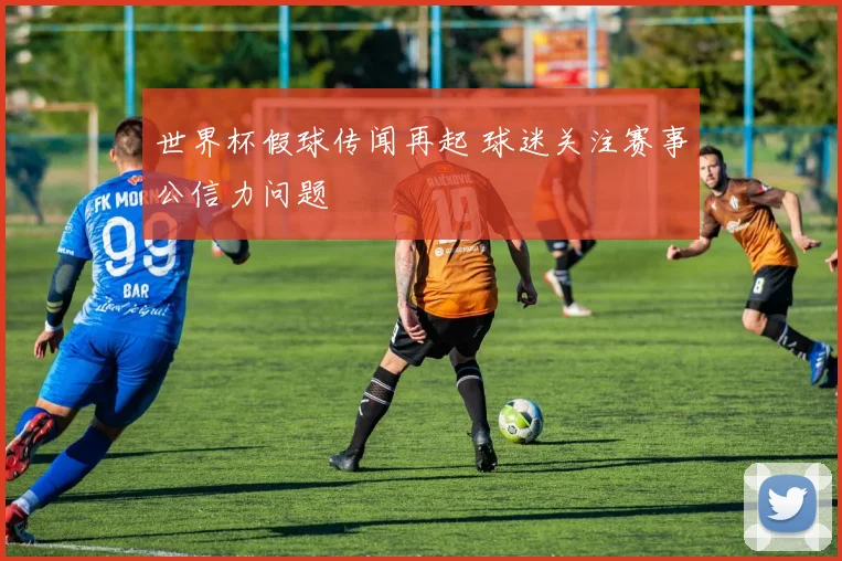 世界杯假球传闻再起 球迷关注赛事公信力问题