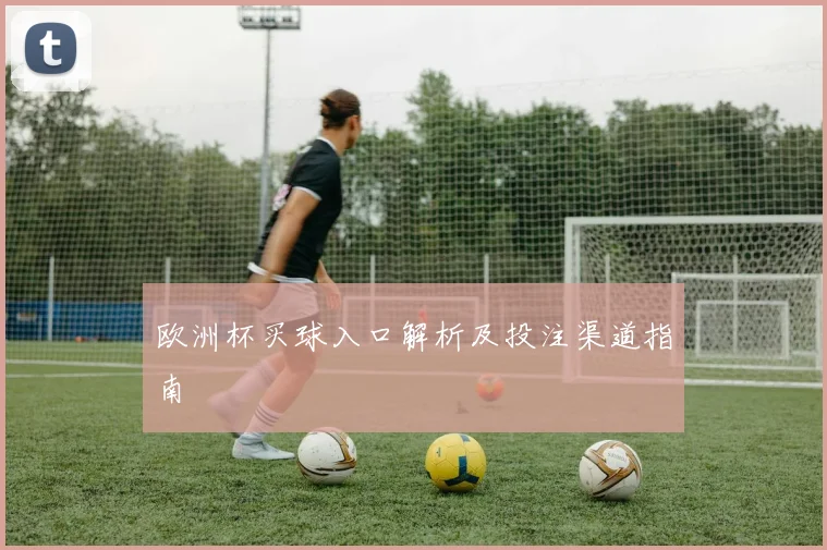欧洲杯买球入口解析及投注渠道指南