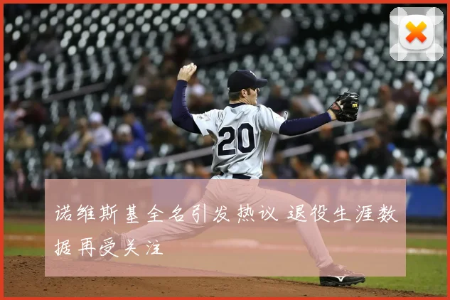 诺维斯基全名引发热议 退役生涯数据再受关注