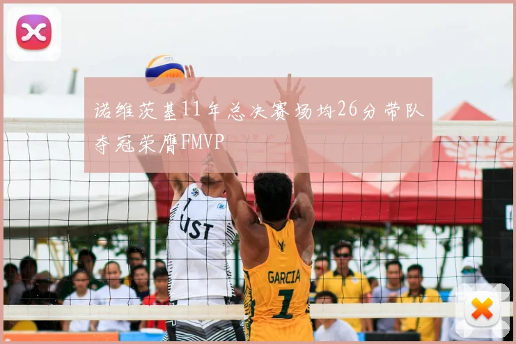 诺维茨基11年总决赛场均26分带队夺冠荣膺FMVP