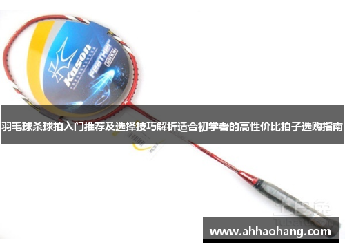 羽毛球杀球拍入门推荐及选择技巧解析适合初学者的高性价比拍子选购指南