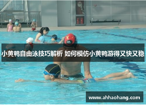 小黄鸭自由泳技巧解析 如何模仿小黄鸭游得又快又稳