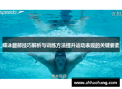 蝶泳腿部技巧解析与训练方法提升运动表现的关键要素